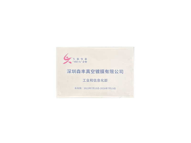 真空91香蕉影院在线观看廠榮譽-國家高新技術企業